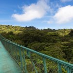 Explore Monteverde's cloud forests from above