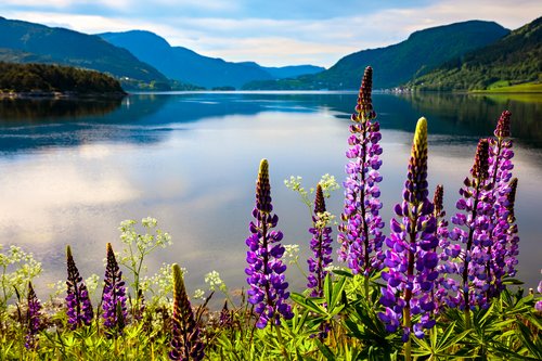 Sustainable Travel in Norway