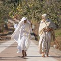Join pilgrims on a sacred walk to see the Jain temples in Palitana