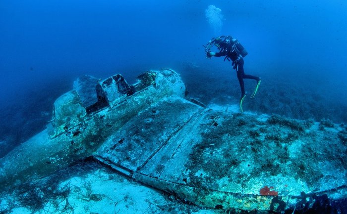 Underwater scene off the Dalmatian coast, near Šibenik