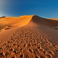 Desert adventures are plentiful in Namibia