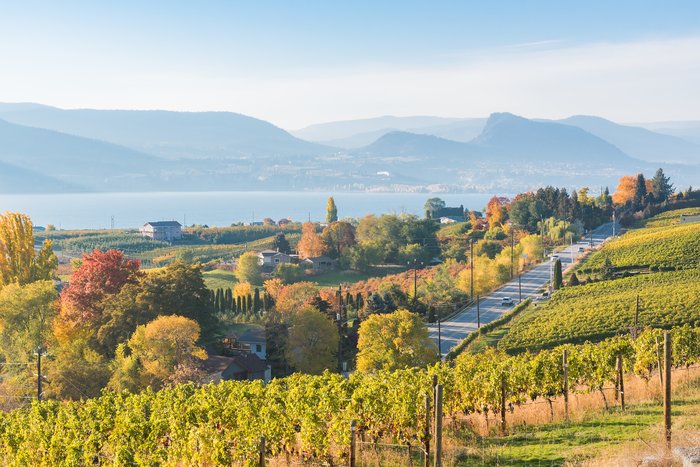 Naramata Bench with Okanagan Lake in the background