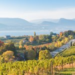 Naramata Bench with Okanagan Lake in the background