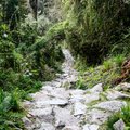 Inca Trail