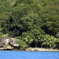 Ilha Grande on the Green Coast in Brazil
