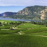 Wine vineyards near Penticton in the Okanagan Valley
