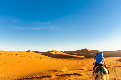 Desert landscapes in the Moroccan Sahara