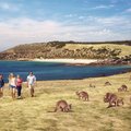 Get yourself to Kangaroo Island for a unique experience with the 'roos