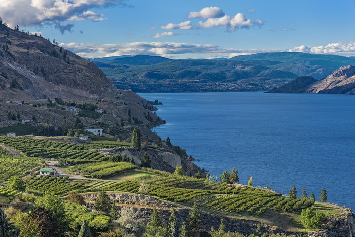Vineyards above Okanagan Lake near Summerland