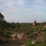 The plains of Bagan