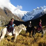 Locals, Horse and Langtang Lirung