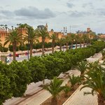 Palm trees line the fortified walls in Taroudant