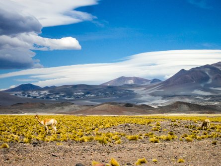 Landscape in Salta Province, Argentina