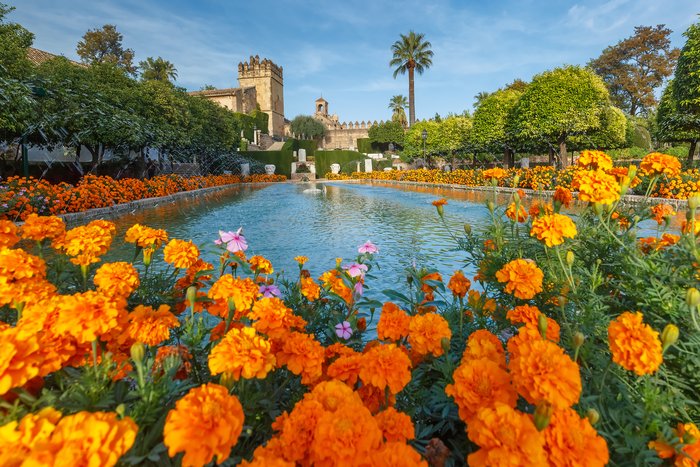 Stop in Córdoba to see the Mezquita en route to Madrid