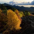 Take in the autumnal scenery as you explore the cooled lava flows on the slopes of Mount Etna