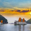 Golden-sailed junk boats in Ha Long Bay