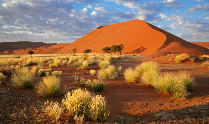 View of Dune 45 in the Namib Desert
