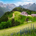 Slovenian Alps 