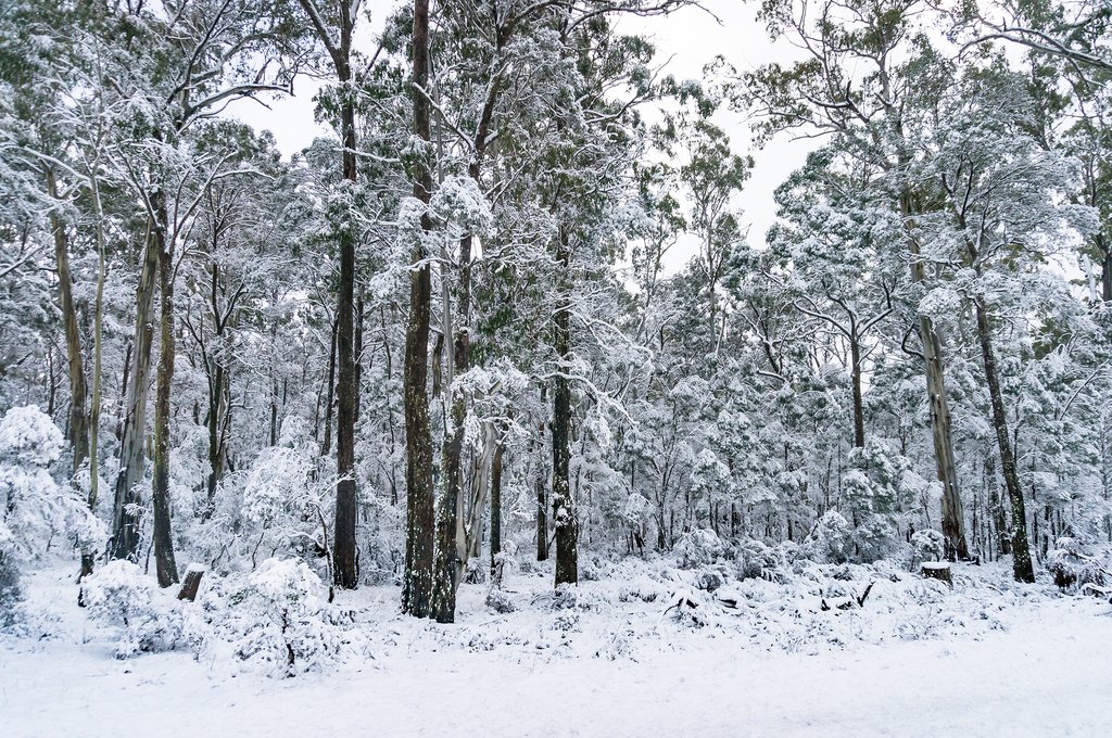 Australia In July Travel Tips Weather And More Kimkim