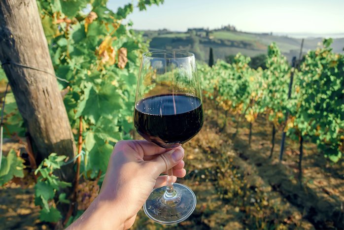 Wine tasting in a local vineyard