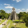 Explore the ancient Mayan complex of ruins at Tikal