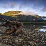 The shores of Buttle Lake, Strathcona Provincial Park