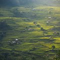 Farming terraces in the lower Annapurna region