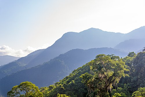 Cartagena, Tayrona Park, Arrecife and Cabo San Juan - 9 days