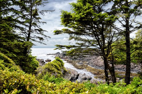 Wild Pacific Trail near Ucluelet, Pacific Rim