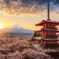 Traverse the Golden Route of Japan