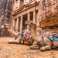 Bedouin camels rest outside the Treasury at Petra