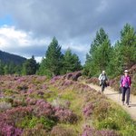 Explore the beautiful Scottish Highlands with your expert guide.