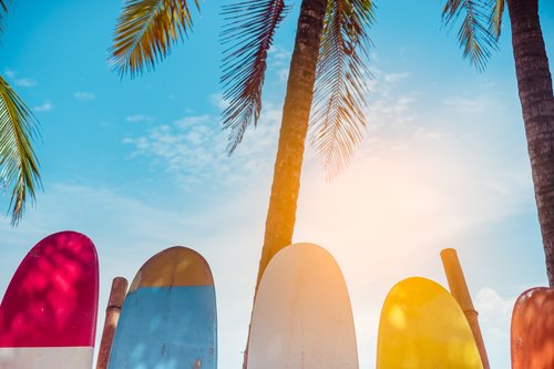 Surfboards along the beach in Puerto Viejo de Talamanca