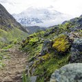 Trail with a view of Nevado Salkantay
