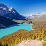 Peyto Lake, Banff National Park