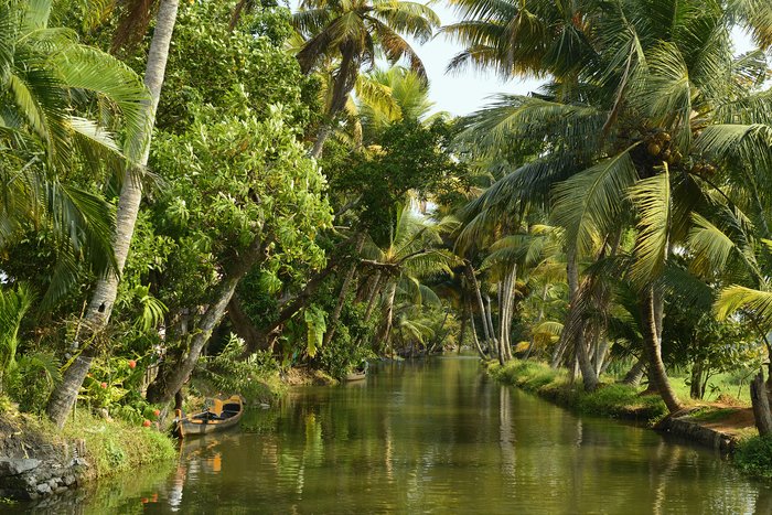 Kerala is known for its extensive network of canals