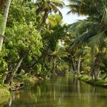 Kerala is known for its extensive network of canals 