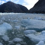 Boating between the icebergs of Leconte Bay