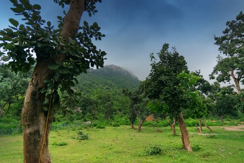 The countryside of West Bengal during the monsoon season