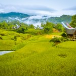 The highland of Tana Toraja