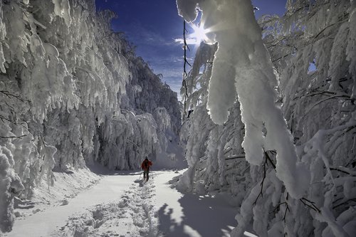 Strap on a pair of snowshoes and trek through the Casentino National Park