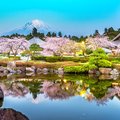 March is the start of cherry blossom season in Japan