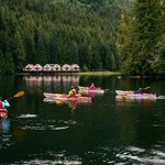Returning to shelter at Nimmo Bay Resort