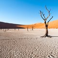 Deadvlei, Namibia