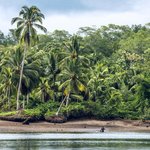 Colombia's wild Pacific coast