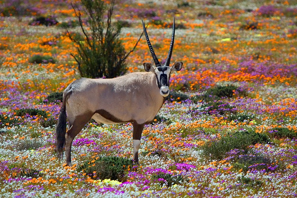 South Africa In July Travel Tips Weather More Kimkim