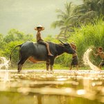 Rural life in Vietnam