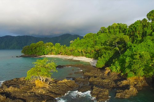 Undeveloped coastland near Nuqui