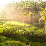Sunset over the "island of the gods," Bali