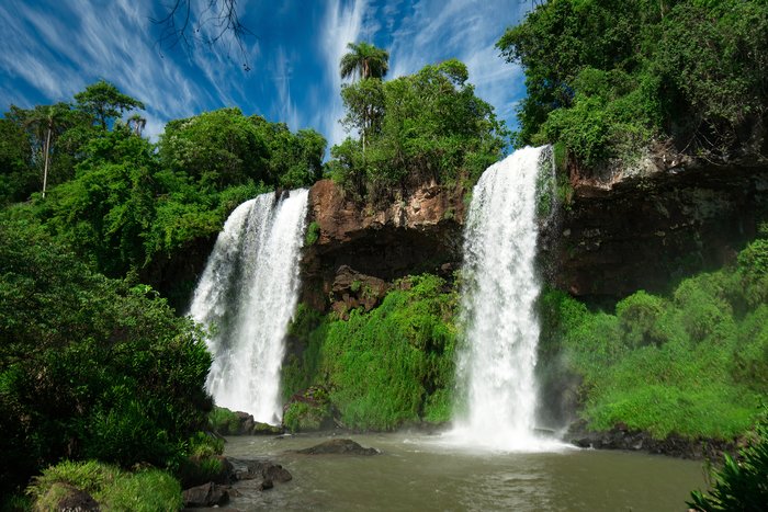 A leafy section of the Iguazú Falls